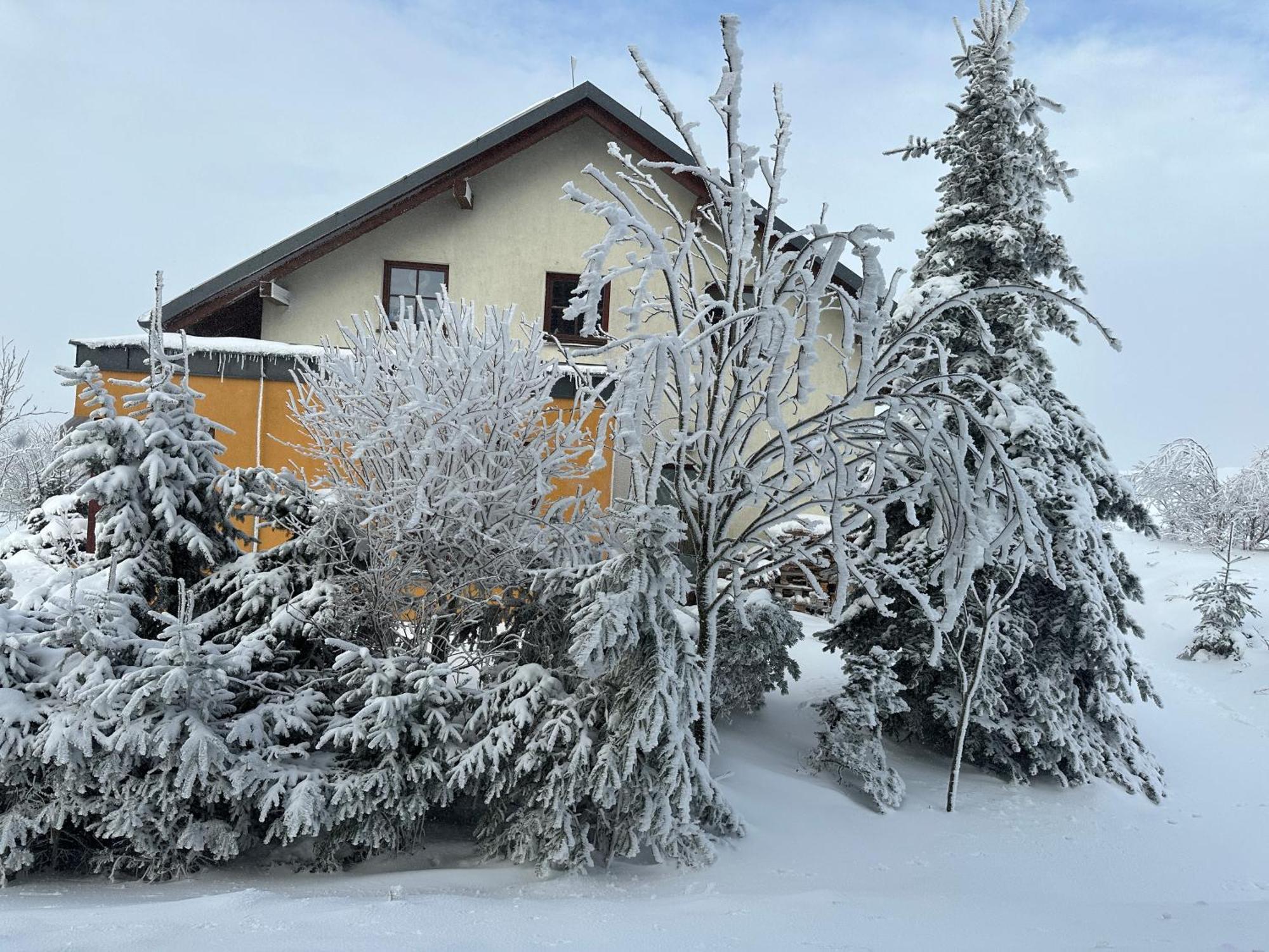 Srdecni Zalezitost Bozi Dar Villa Exteriör bild